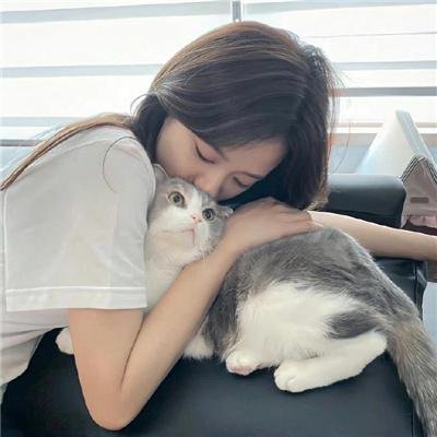 金毛喜迎冬